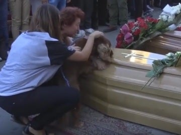 Un perro se despide de su dueño, que murió durante el terremoto de Italia