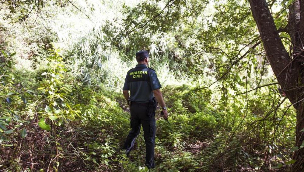 Un agente de la Guardia Civil peina la zona próxima al domicilio de Diana Maria Quer, desaparecida en Pobra do Caramiñal.