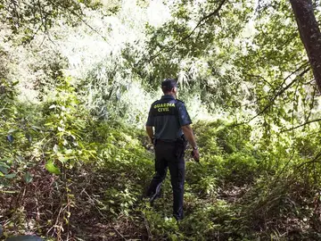 Un agente de la Guardia Civil peina la zona próxima al domicilio de Diana Maria Quer, desaparecida en Pobra do Caramiñal. Un agente de la Guardia Civil peina la zona próxima al domicilio de Diana Maria Quer, desaparecida en Pobra do Caramiñal.