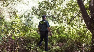 La desaparición de un ser querido, un drama que sufren miles de familias al año
