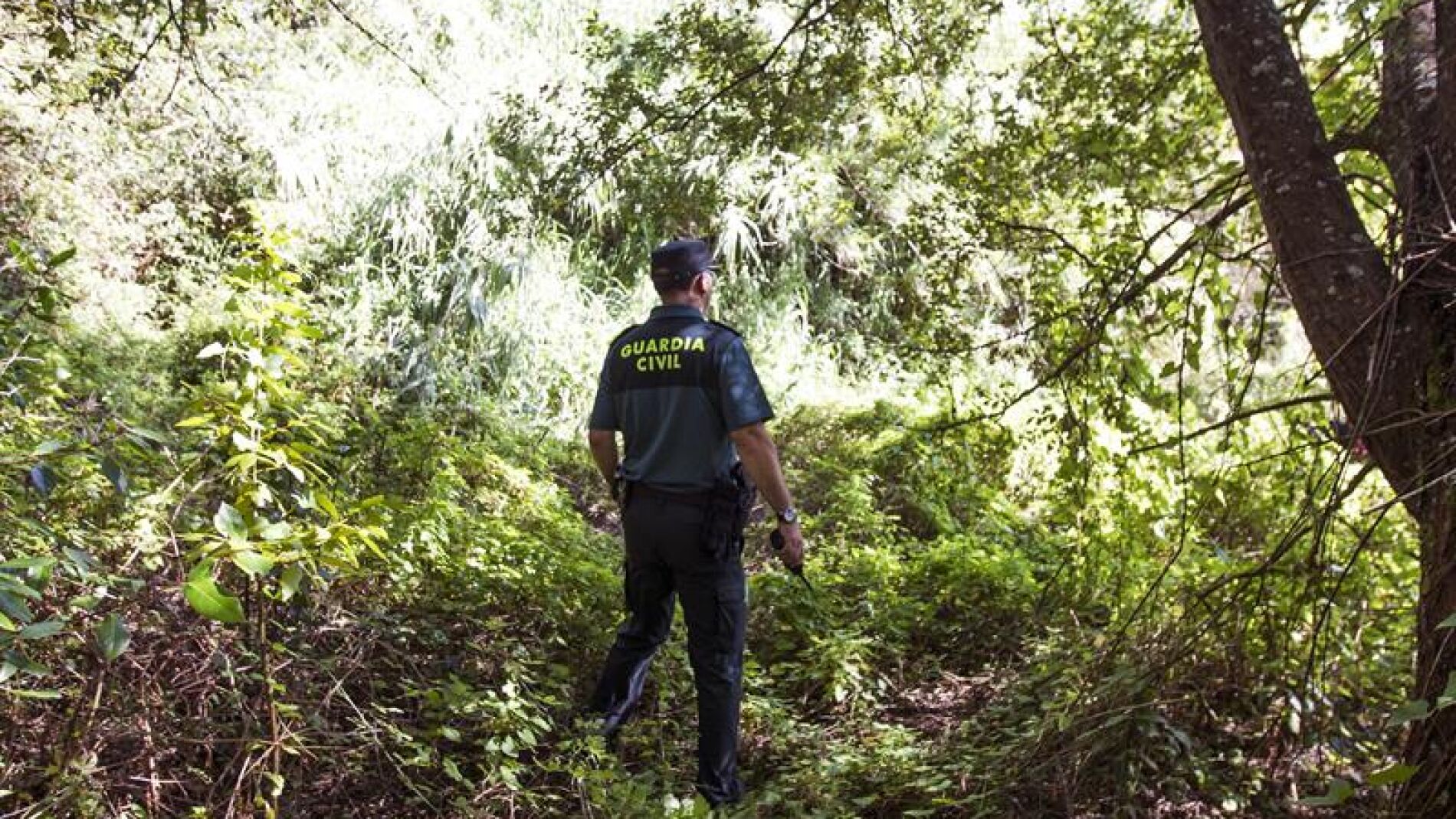  Un agente de la Guardia Civil peina la zona pr&oacute;xima al domicilio de Diana Maria Quer, desaparecida en Pobra do Carami&ntilde;al.