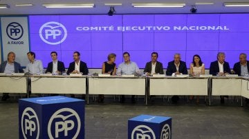 Comité Ejecutivo Nacional de PP
