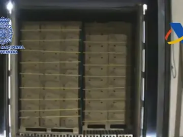 Cargamento de bananas que contiene cocaína Cargamento de bananas que contiene cocaína