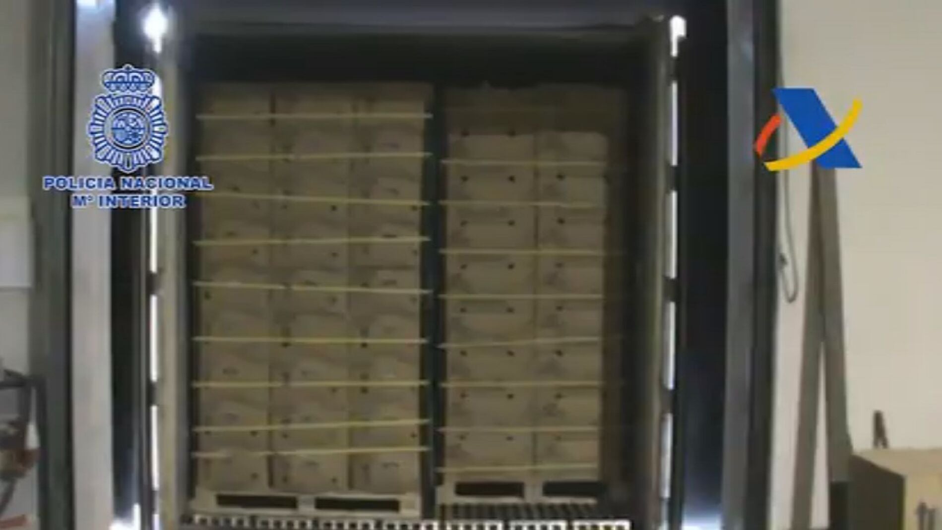 Cargamento de bananas que contiene coca&iacute;na