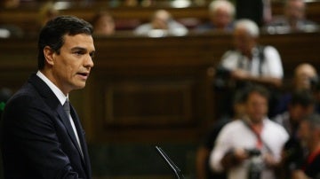 El secretario general del PSOE, Pedro S&aacute;nchez