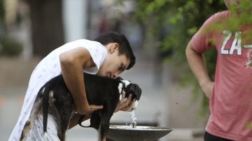 Un joven da de beber a su perro