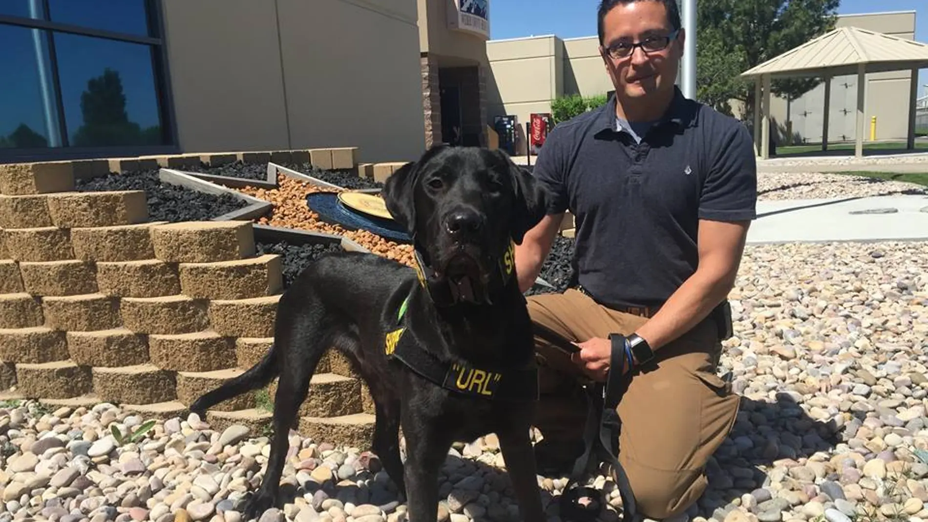 URL, el perro experto en buscar material pornográfico URL, el perro experto en buscar material pornográfico