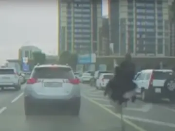 Imagen del momento en el que aparece el avestruz. Imagen del momento en el que aparece el avestruz.