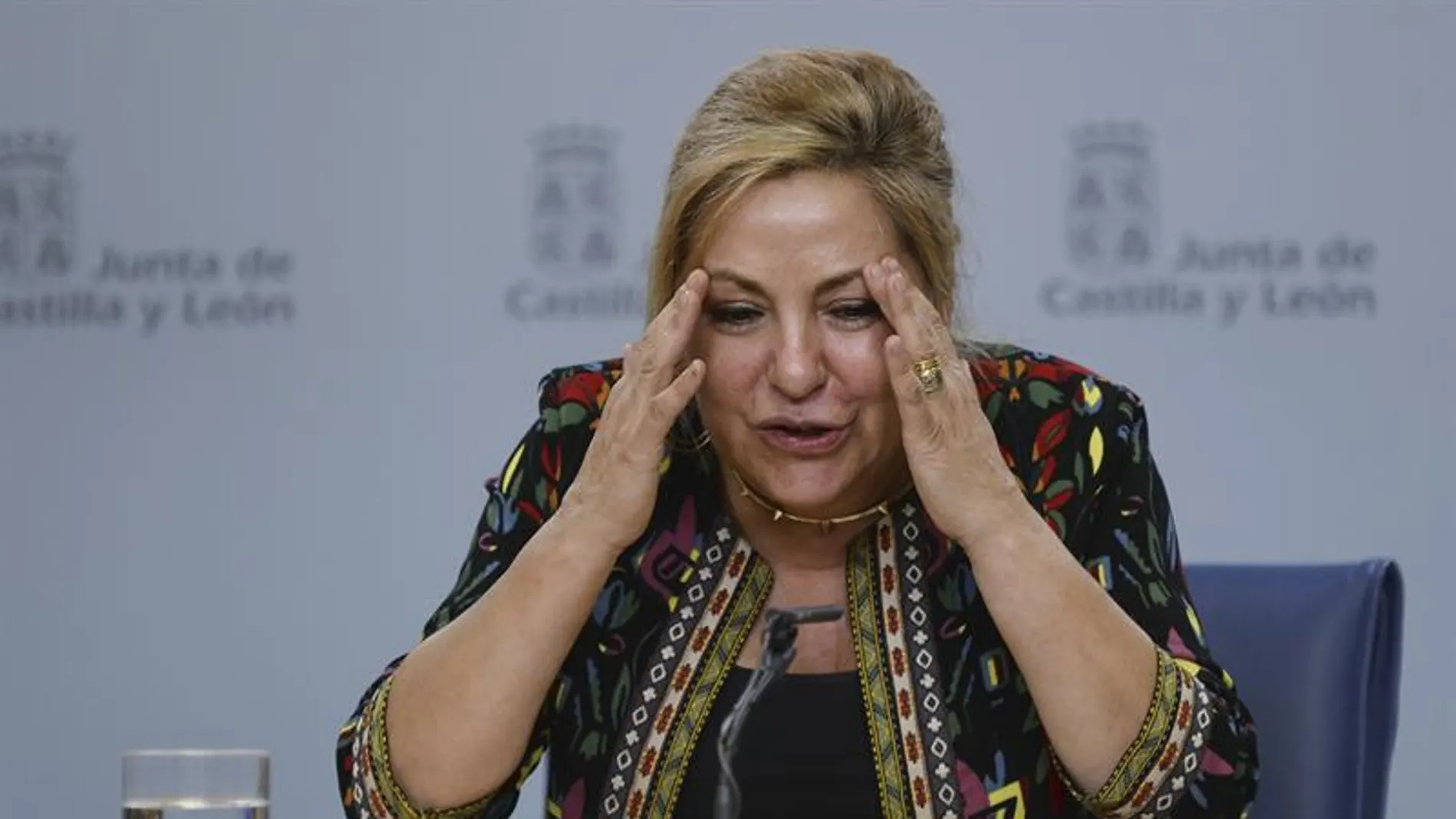 La vicepresidenta de la Junta de Castilla y León, Rosa Valdeón La vicepresidenta de la Junta de Castilla y León, Rosa Valdeón