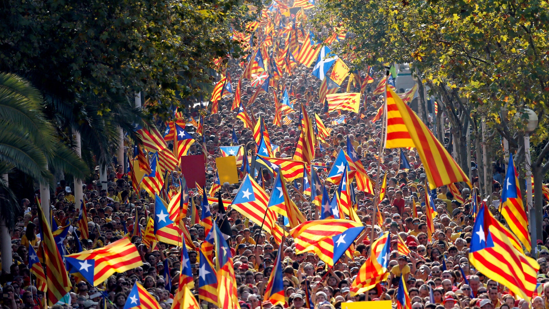 Manifestaci&oacute;n independentista en la Diada de Catalu&ntilde;a.