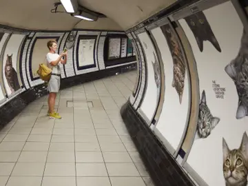 Un nuevo colectivo que quiere usar el poder de la creatividad para bien. El metro de Londres ya forma parte de esta iniciativa. Un nuevo colectivo que quiere usar el poder de la creatividad para bien. El metro de Londres ya forma parte de esta iniciativa.