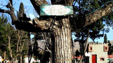 Un árbol lleva 118 años 'detenido' en Pakistán por un oficial inglés borracho