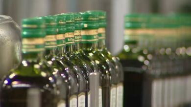 Los españoles consumen más de medio millón de toneladas de aceite de oliva al año 