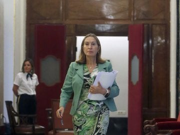 La presidenta del Congreso, Ana Pastor La presidenta del Congreso, Ana Pastor