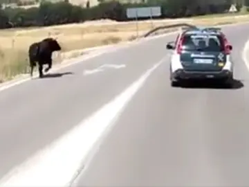 Instantánea del momento de la persecución Instantánea del momento de la persecución