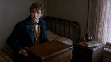 Eddie Redmayne en 'Animales fantásticos y dónde encontrarlos'