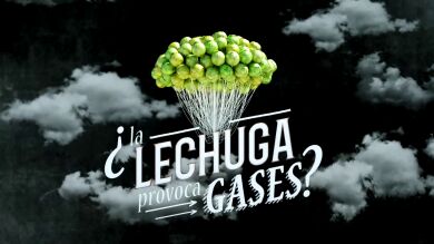 ¿Es cierto que la lechuga provoca gases?