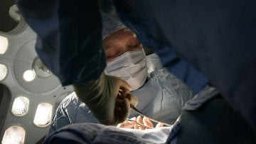 Holanda aprueba un proyecto de ley para que todo el mundo sea donante de órganos por defecto