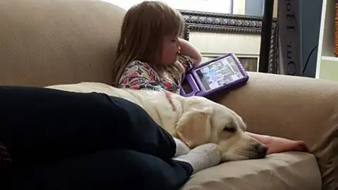 El nombre de este perro no es casualidad El nombre de este perro no es casualidad