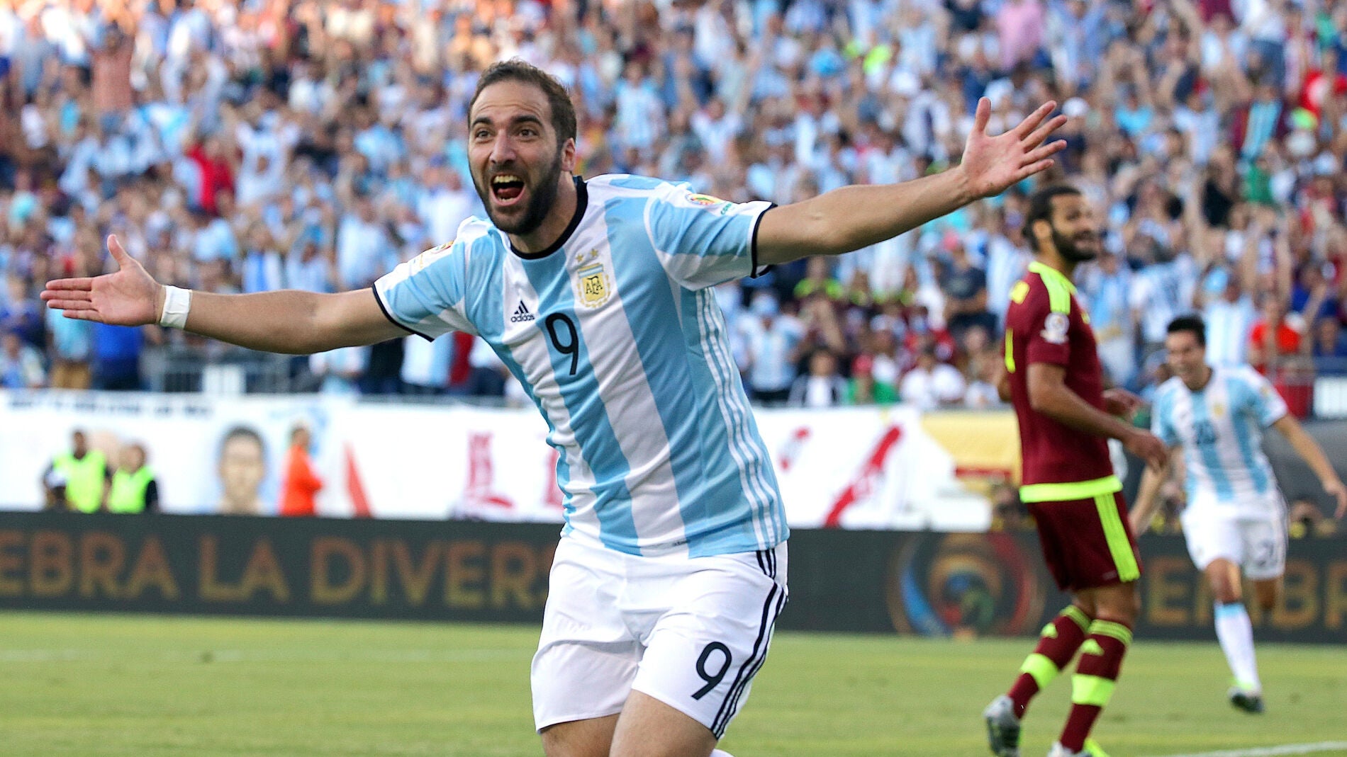 Higua&iacute;n celebra un gol con Argentina