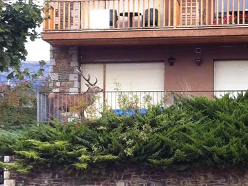 Un ciervo se mete dentro de un balcón Un ciervo se mete dentro de un balcón