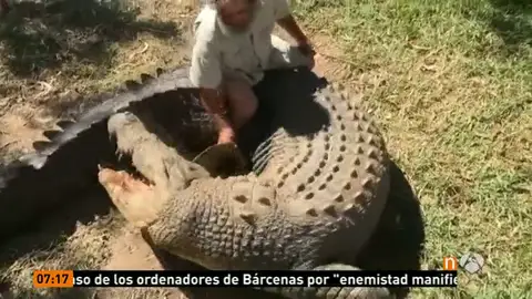 Frame 25.306508 de: Un dueño de un zoo australiano pierde la mano por el ataque de uno de sus cocodrilos ante la mirada de los visitantes Frame 25.306508 de: Un dueño de un zoo australiano pierde la mano por el ataque de uno de sus cocodrilos ante la mirada de los visitantes