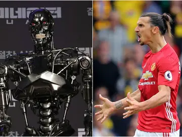 Terminator vs Ibrahimovic Terminator vs Ibrahimovic