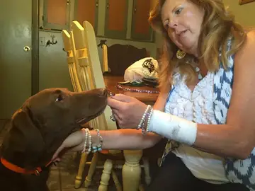 Un perro acuchilla a su dueña Un perro acuchilla a su dueña