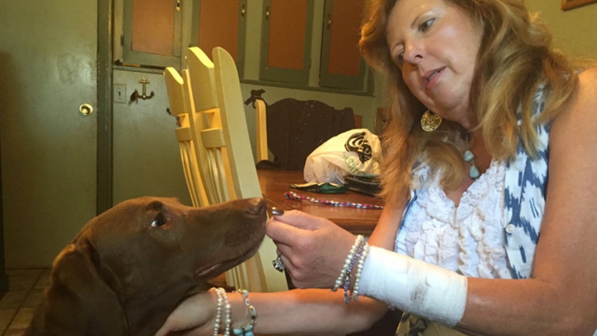 Un perro acuchilla a su due&ntilde;a