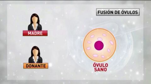 Frame 12.007201 de: Los expertos nos explican la novedosa t&eacute;cnica usada en el caso del bebe con ADN de tres padres diferentes