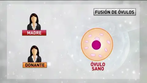 Frame 12.007201 de: Los expertos nos explican la novedosa técnica usada en el caso del bebe con ADN de tres padres diferentes Frame 12.007201 de: Los expertos nos explican la novedosa técnica usada en el caso del bebe con ADN de tres padres diferentes
