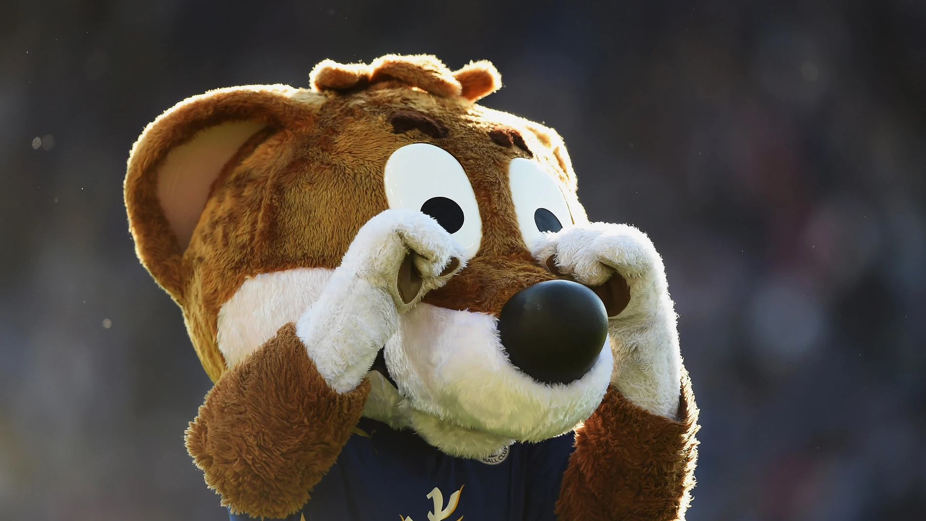 La mascota del Leicester no podrá acompañar a su equipo en Champions