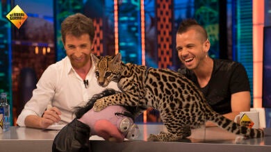 Cristina Pedroche sorprende a Dabiz Muñoz con una 'animalada' muy cuqui en 'El Hormiguero 3.0'