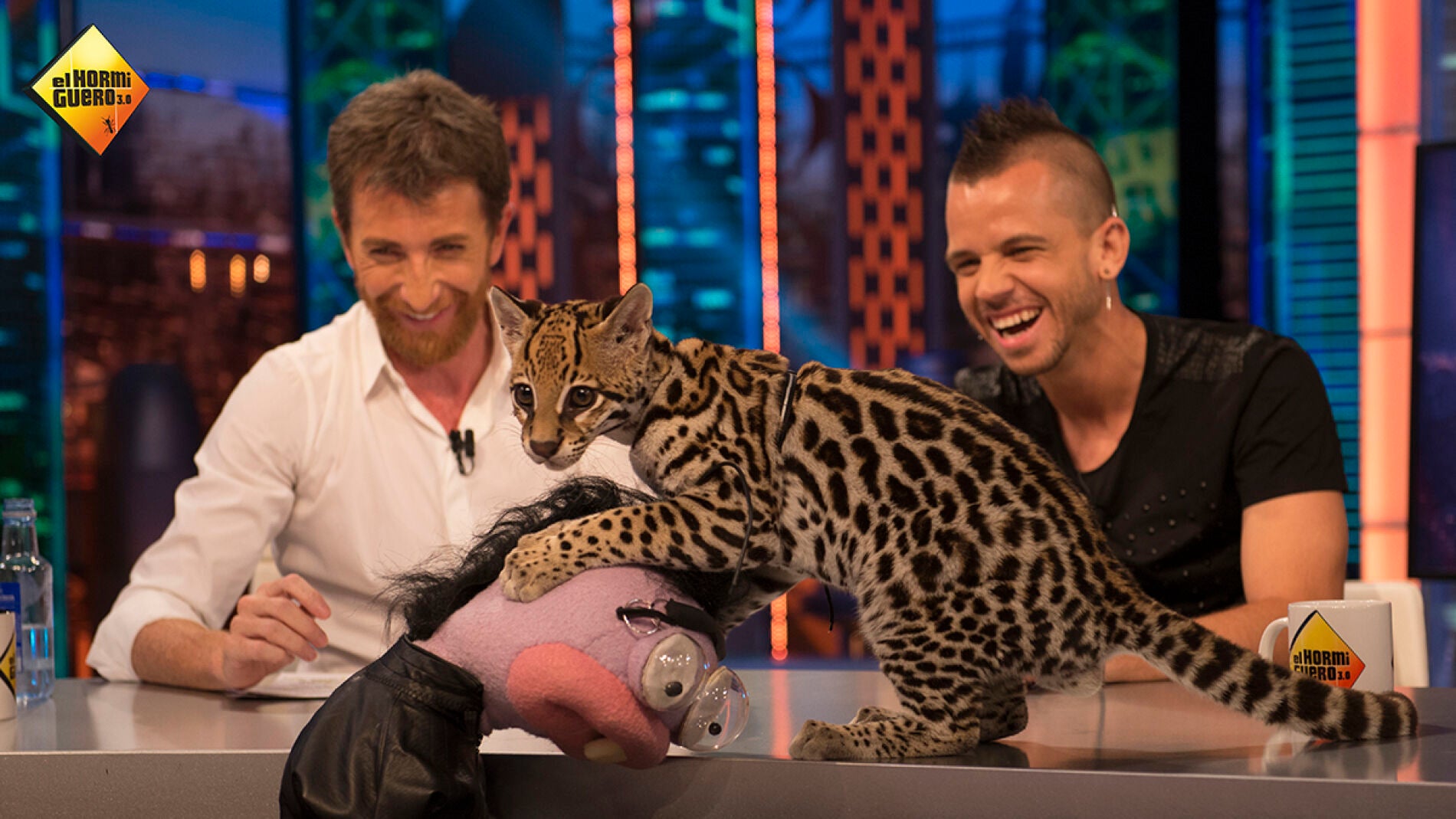 Cristina Pedroche sorprende a Dabiz Muñoz con una 'animalada' muy cuqui en 'El Hormiguero 3.0'