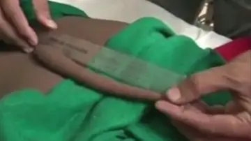 La cola creció hasta llegar a los 17,78 centímetros La cola creció hasta llegar a los 17,78 centímetros