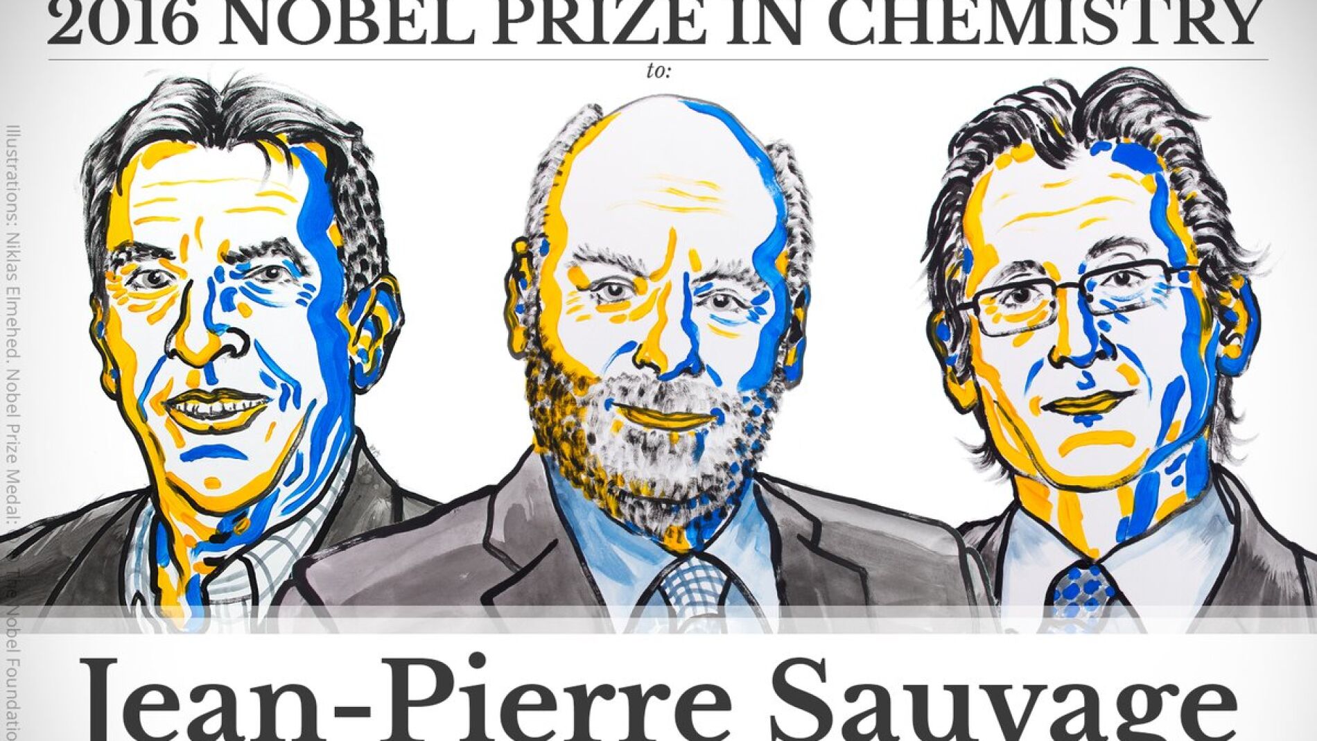 Premio Nobel de Qu&iacute;mica