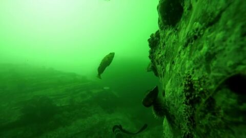 Frame 54.249317 de: Encuentran una Gopro que permaneci&oacute; un a&ntilde;o en el fondo del mar