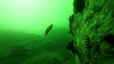 Frame 54.249317 de: Encuentran una Gopro que permaneció un año en el fondo del mar Frame 54.249317 de: Encuentran una Gopro que permaneció un año en el fondo del mar