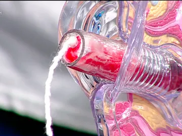 Descubre cómo funciona el tampón inteligente Descubre cómo funciona el tampón inteligente