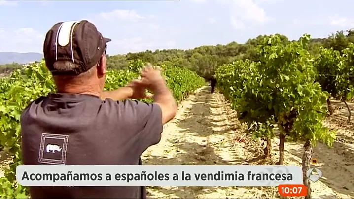 Frame 154.460667 de: VENDIMIA Frame 154.460667 de: VENDIMIA