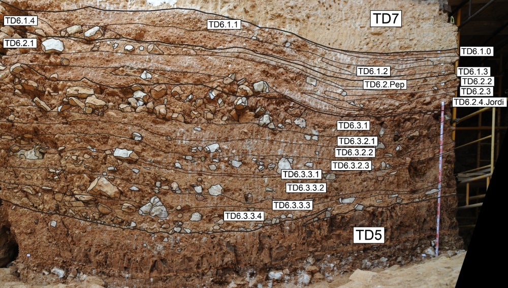 Gran Dolina, Atapuerca