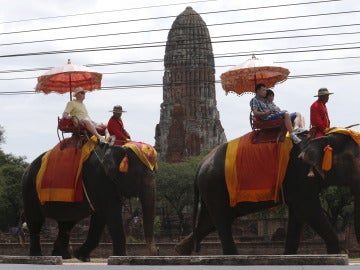 Unos turistas sobre unos elefantes en Tailandia