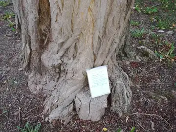 Un libro listo para 'cazar' Un libro listo para 'cazar'