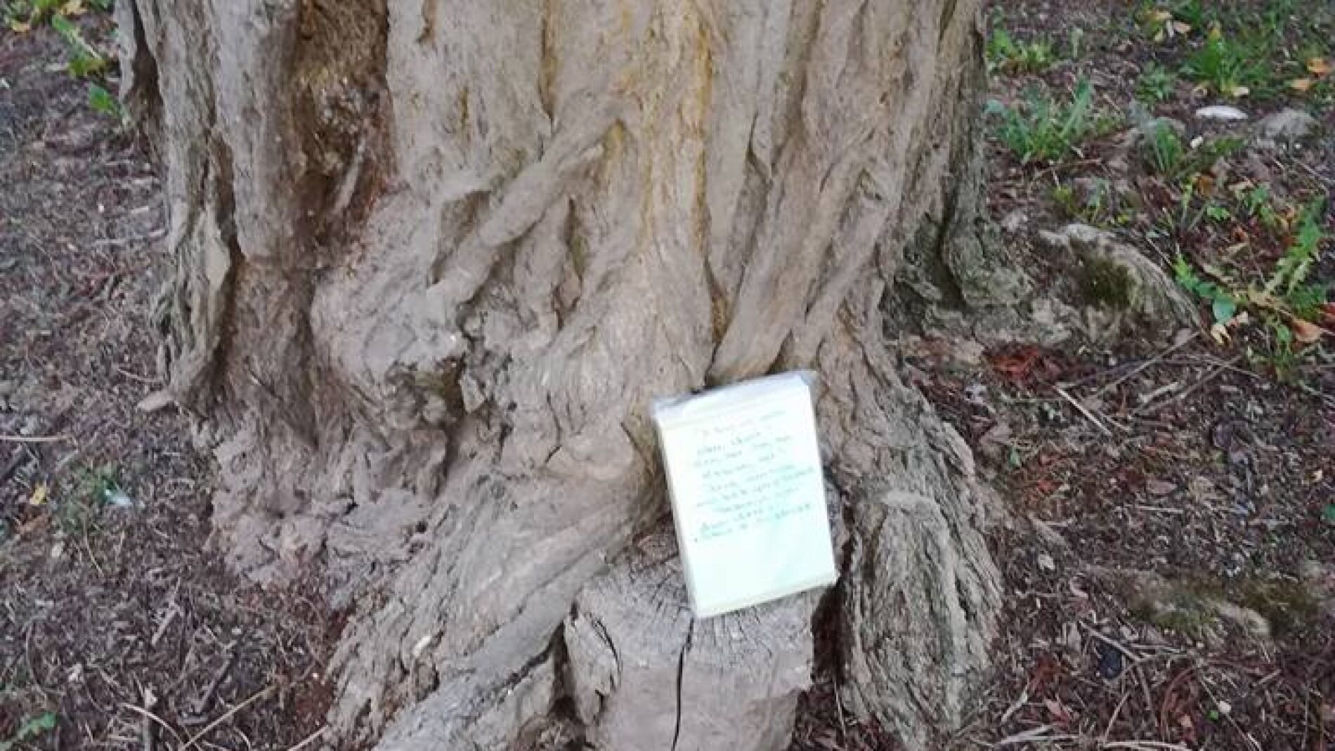 Un libro listo para 'cazar'