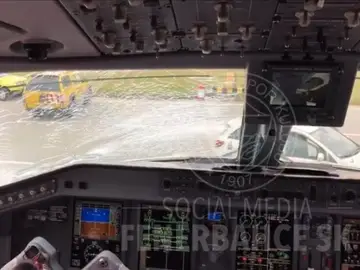 Imagen del cristal del avión tras el impacto del ave Imagen del cristal del avión tras el impacto del ave