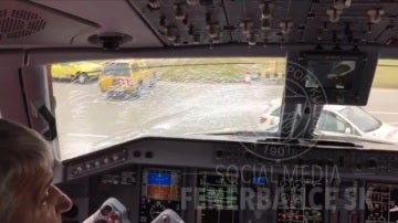 Imagen del cristal del avión tras el impacto del ave