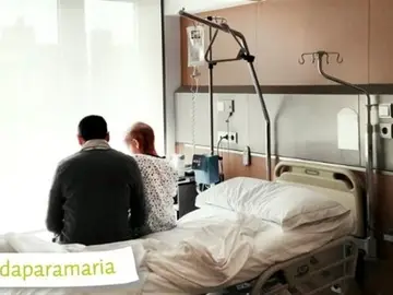#vidaparamaría #vidaparamaría