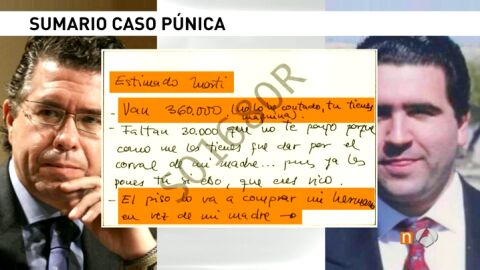 Se filtra el sumario del caso P&uacute;nica