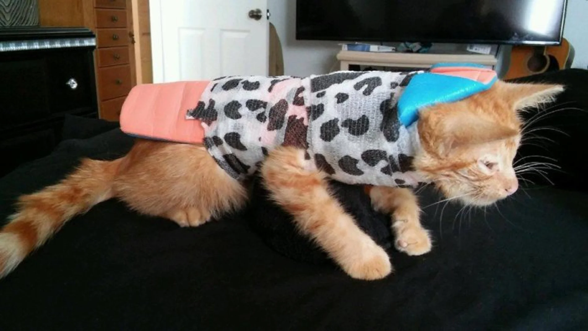 Darvey con una placa para curar su columna Darvey con una placa para curar su columna