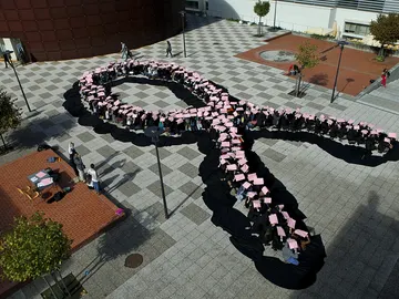 Lazo homenaje en la lucha contra el cáncer de mama Lazo homenaje en la lucha contra el cáncer de mama